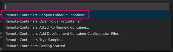 Chooose "Reopen Folder in Container"